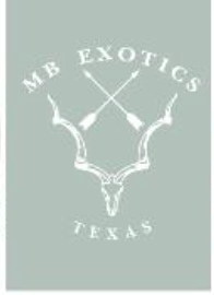 MB Exotics Hoodie - Dusty Sage